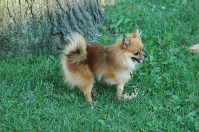 Aug1b_04_126.JPG