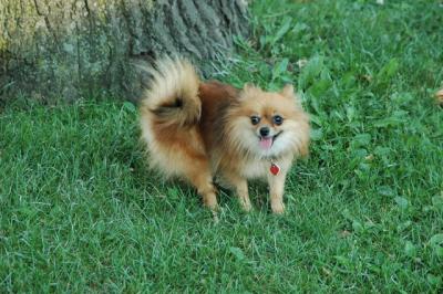 Aug1b_04_130.JPG