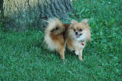 Aug1b_04_131.JPG