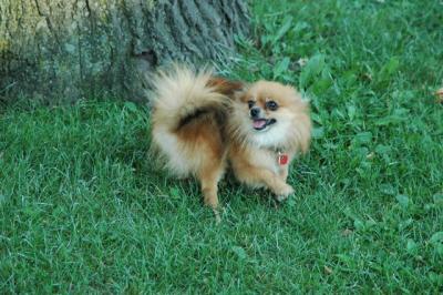 Aug1b_04_132.JPG