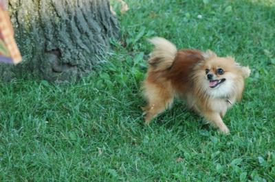 Aug1b_04_134.JPG