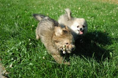 Aug1b_04_151.JPG