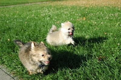 Aug1b_04_153.JPG