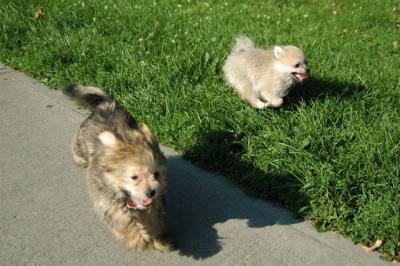 Aug1b_04_155.JPG