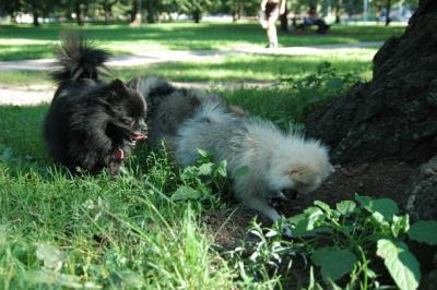 Aug1b_04_166.JPG