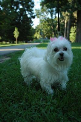 Aug1b_04_214.JPG