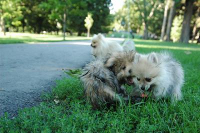 Aug1b_04_216.JPG