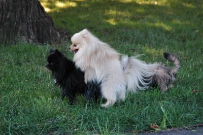 Aug1b_04_230.JPG