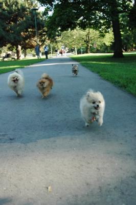 Aug1b_04_232.JPG