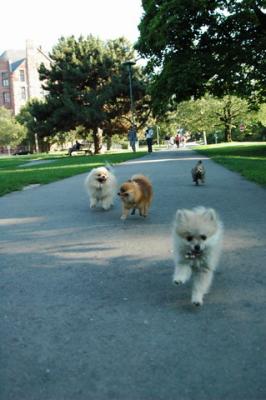 Aug1b_04_233.JPG