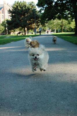 Aug1b_04_234.JPG