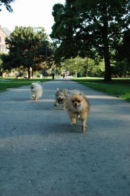 Aug1b_04_238.JPG