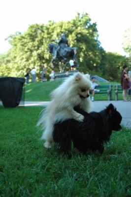 Aug1b_04_256.JPG