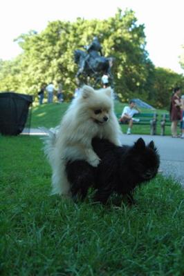 Aug1b_04_257.JPG
