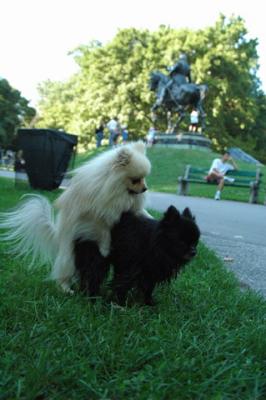 Aug1b_04_258.JPG