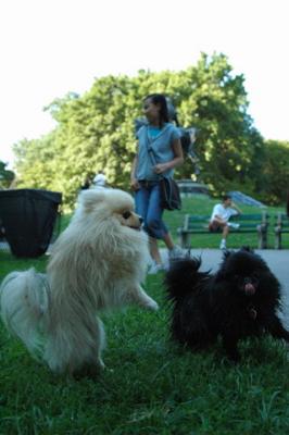 Aug1b_04_264.JPG