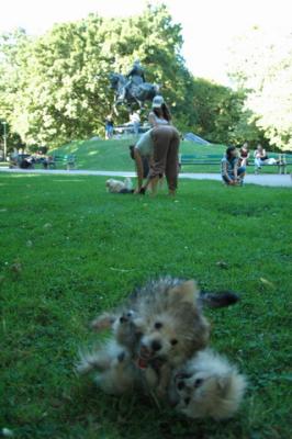 Aug1b_04_302.JPG