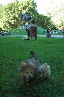 Aug1b_04_303.JPG