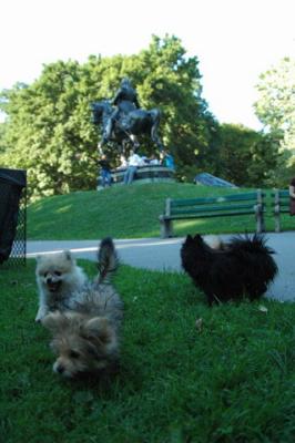 Aug1c_04_001.JPG