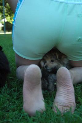 Aug1c_04_045.JPG