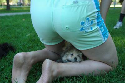 Aug1c_04_053.JPG