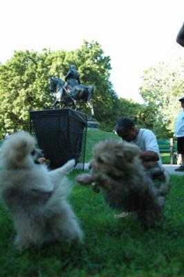 Aug1c_04_094.JPG