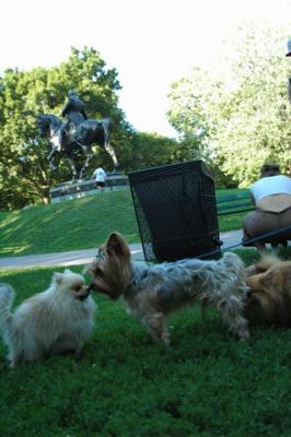 Aug1c_04_122.JPG