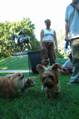 Aug1c_04_140.JPG