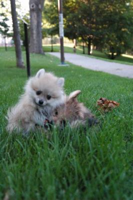 Aug1c_04_288.JPG