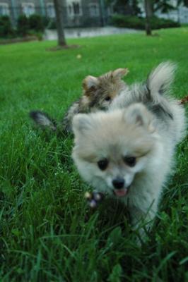 Aug1c_04_298.JPG