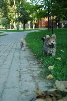 Aug1c_04_299.JPG