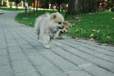 Aug1c_04_308.JPG