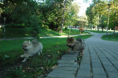 Aug1c_04_310.JPG