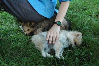 Aug1f_04_004.JPG