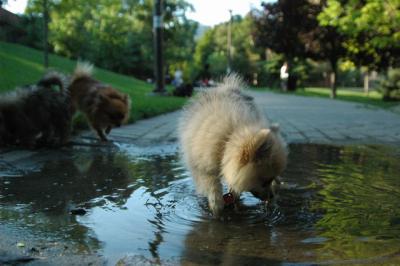 Aug1d_04_001.JPG