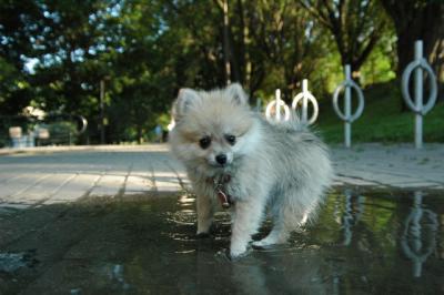 Aug1d_04_020.JPG