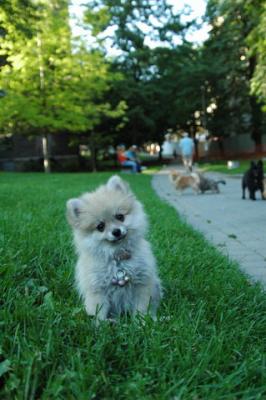 Aug1d_04_028.JPG