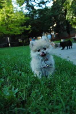Aug1d_04_031.JPG