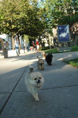 Aug1d_04_046.JPG