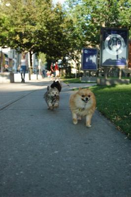 Aug1d_04_049.JPG