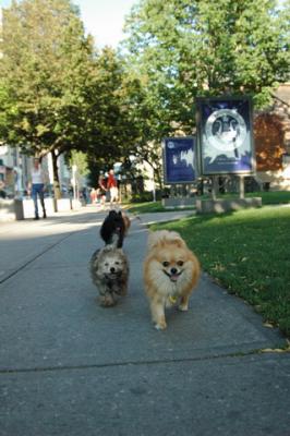 Aug1d_04_050.JPG