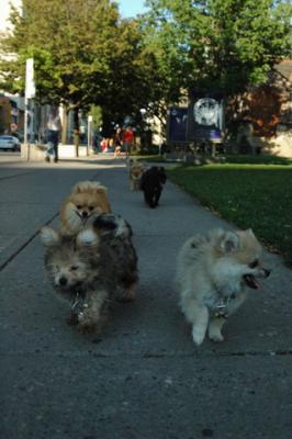 Aug1d_04_055.JPG