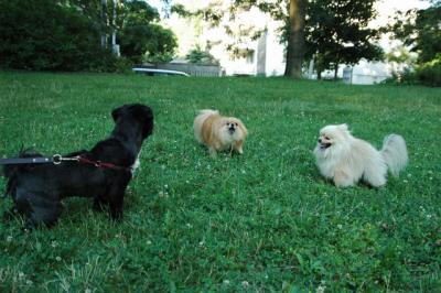 Aug1e_04_049.JPG