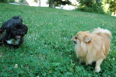 Aug1e_04_060.JPG