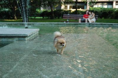 Aug1e_04_065.JPG
