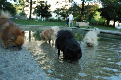 Aug1e_04_085.JPG