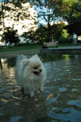 Aug1e_04_109.JPG