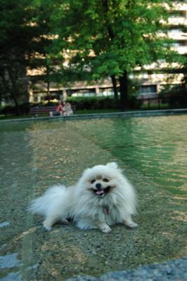 Aug1e_04_125.JPG