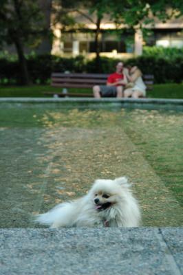 Aug1e_04_132.JPG