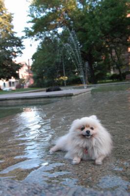 Aug1e_04_148.JPG